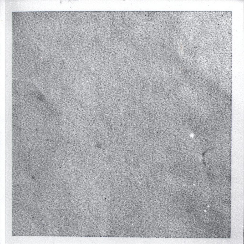 A two-ink risograph print in muted olive and cream, showing dense forest silhouettes fading into fog